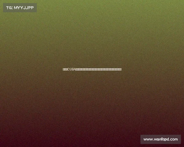 本年度CUBA中国大学生篮球联赛赛事规程完整解析手册附带实例分析与执行建议