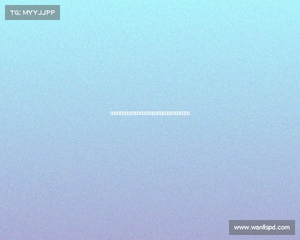 赛事编排—深入剖析赛事编排关键技术及其在大型体育赛事中的实践应用